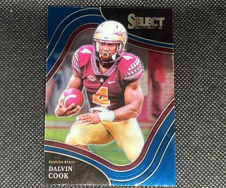 Dalvin Cook - Florida State - Panini Select Draft Picks 2022 #170